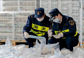 貨物被海關查驗了怎么辦?查驗拼箱和整柜有什么不同