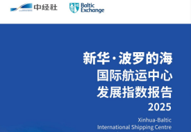 2025年新華·波羅的海國際航運中心發展指數發布,廣州超越東京