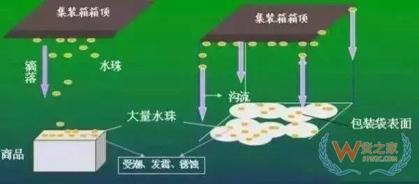 集裝箱里進水，誰的錯？如何預防應對？貨之家